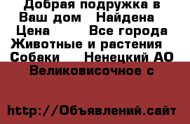 Добрая подружка,в Ваш дом!!!Найдена › Цена ­ 10 - Все города Животные и растения » Собаки   . Ненецкий АО,Великовисочное с.